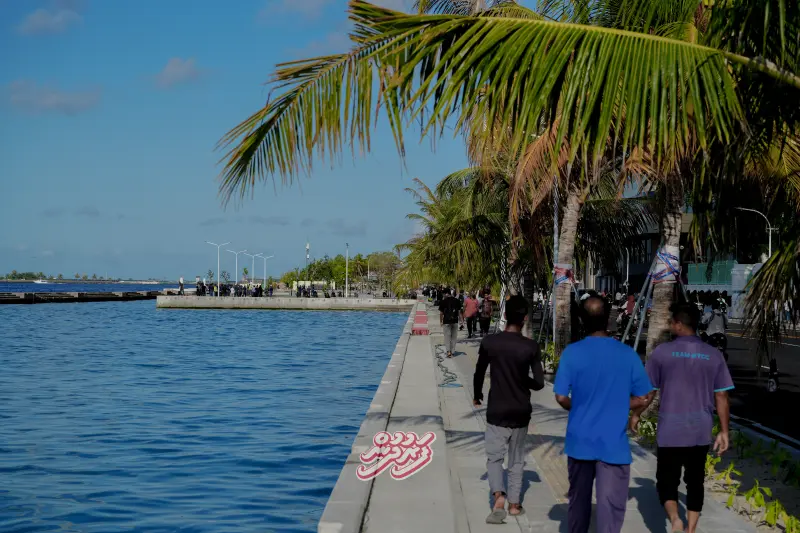Boduthakurufaanumagu