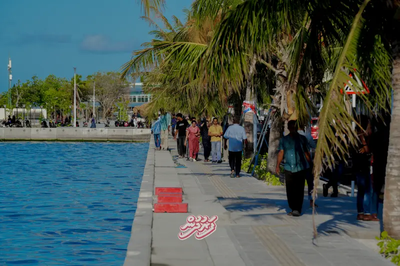 Boduthakurufaanu magu