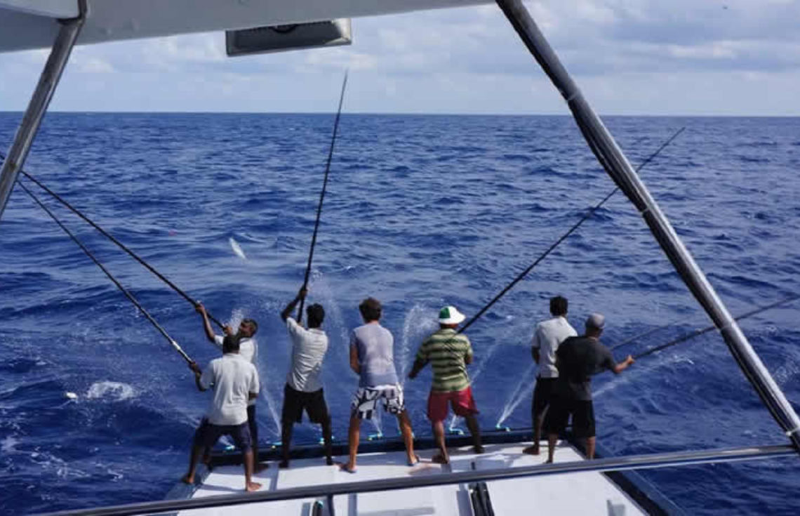 މިދިޔަ ހަފުތާގައި މަސްކިރުވި އޮޑިފަހަރުގެ ޢަދަދު %55.9 އިތުރު