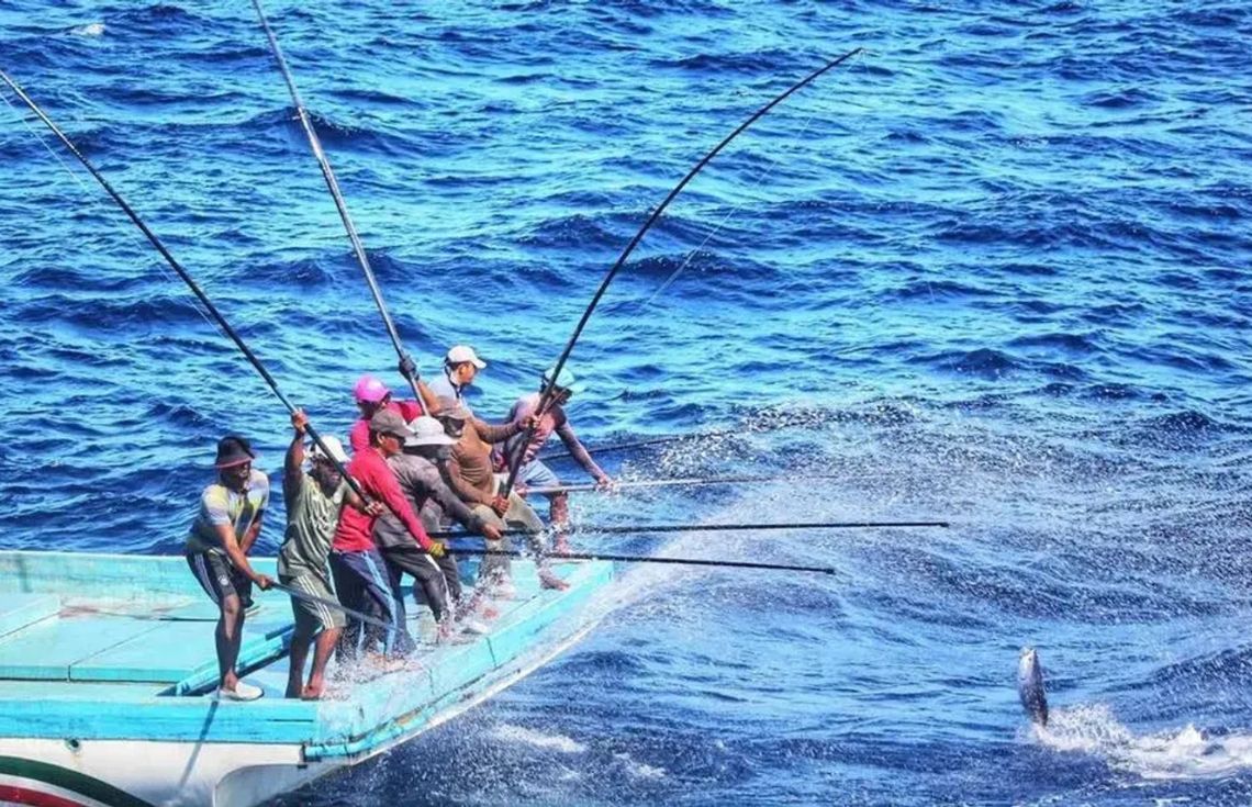 މިފްކޯއިން މިއަދުވެސް 24 ދޯންޏަކަށް 1 މިލިއަނެއްހާ ރުފިޔާ ދޫކޮށްފި