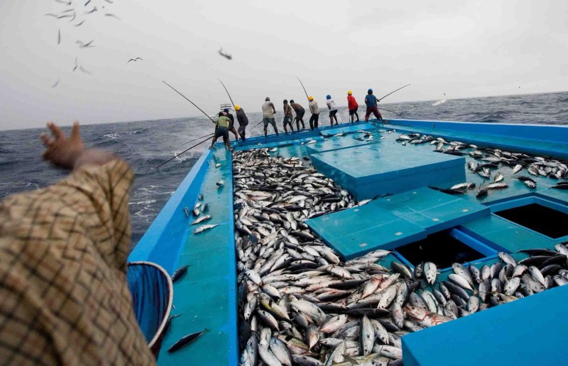 4 އައިސްޕްލާންޓެއް މިއަހަރު ތެރޭ ބޭނުންކުރަން ފަށަނީ