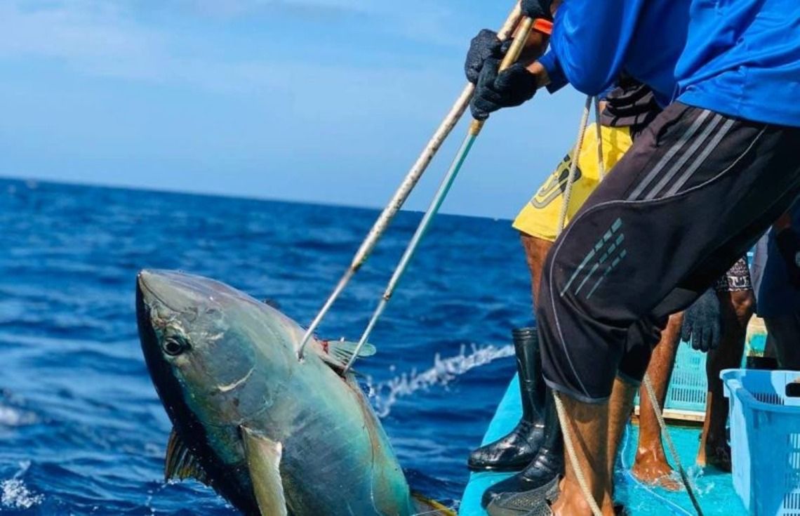 މިފްކޯއިން 34 ދޯންޏަކަށް 1.4 މިލިއަން ރުފިޔާ ދޫކޮށްފި