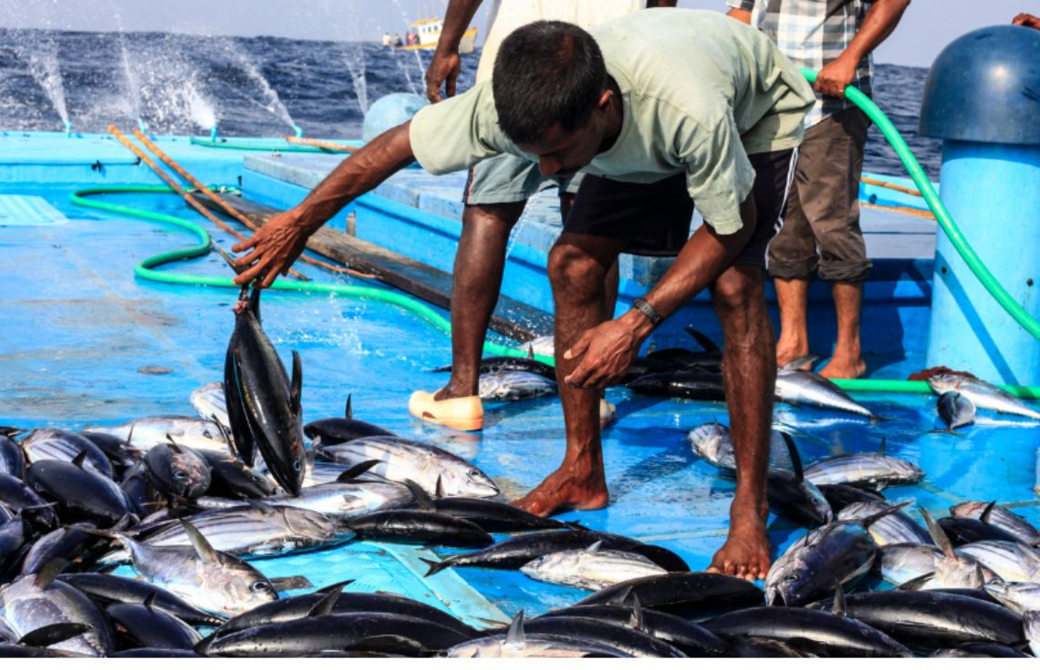 މިފްކޯއިން މިއަދު މަސްވެރިންނަށް 1.1 މިިލިއަން ރުފިޔާ ދޫކޮށްފި