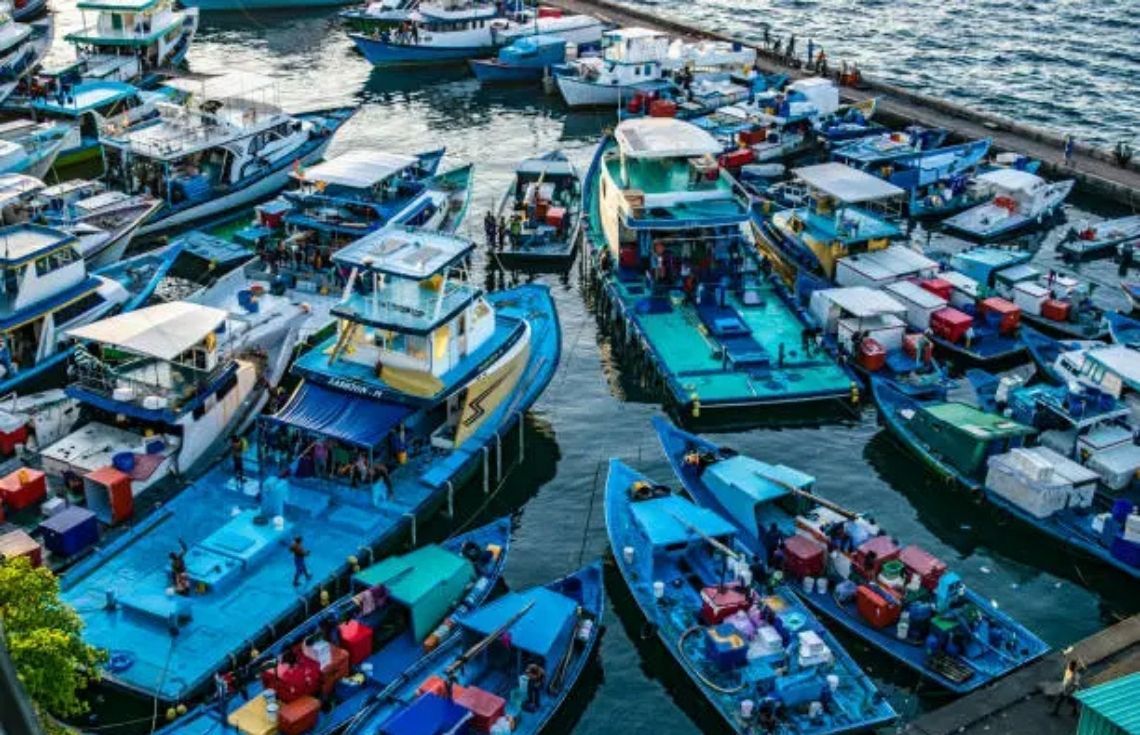 މިއަދު މިފްކޯއިން 38 ދޯންޏަކަށް 1.1 މިލިއަން ރުފިޔާ ދޫކޮށްފި