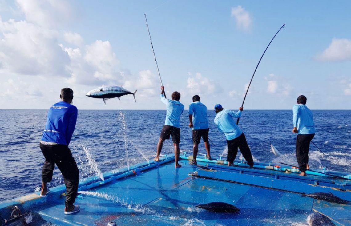 މަސްވެރިކަމުގެ ސިނާޢަތް ކުރިއެރުވުމަށް ޖުލައި މަހުގެ ނިޔަލަށް ދަފްތަރުގައިވާ 25 މަސްވެރިއަކަށް ލޯނު ދޫކޮށްފި