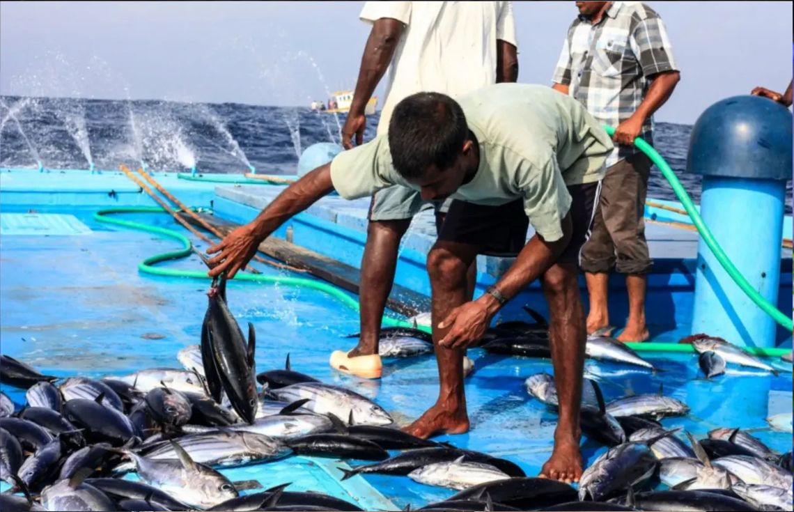 މަސްވެރިކަމަށް ޒުވާނުންގެ ޝައުގުވެރިކަން އިތުރުކުރުމަށް ހިންގާ ޕްރޮގްރާމެއްގައި ބައިވެރިވުމަށް ހުޅުވާލައިފި