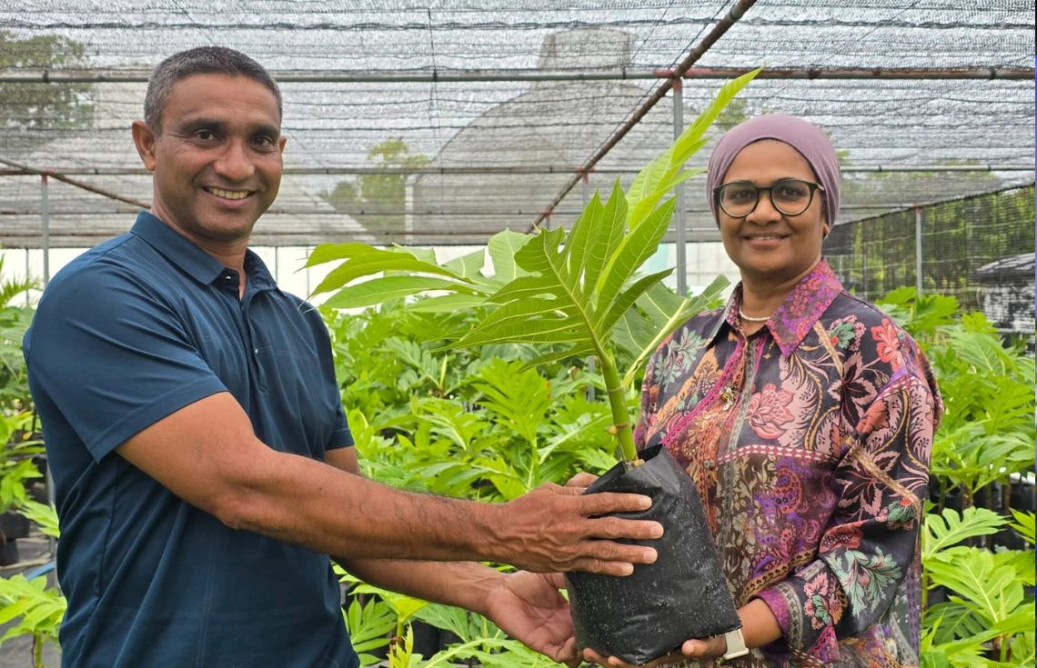 ފުޑްސެކިއުރިޓީ ޕްރޮގްރާމްގެ ދަށުން ށ.އަތޮޅުގެ 4 ރަށަކަށް ،1159 ގަސް ފޯރުކޮށްދީފި