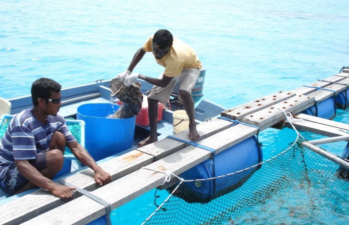 އެކުއަކަލްޗަރގެ މަސައްކަތަށް ފަޅު ރަށް ކުއްޔަށް ނަގަން ބޭނުންވާ ފަރާތްތަކަށް އެފުރުސަތު ހުޅުވާލައިފި