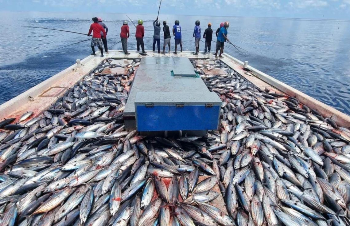 މިދިޔަ ހަފްތާގައި މަސްވެރިންނަށް 10.4 މިލިޔަން ރުފިޔާ ދޫކޮށްފި