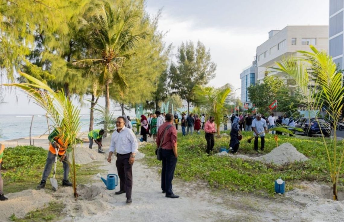 ރުއް އިންދުމުގެ މަޝްރޫޢުގެ ދަށުން މިހާތަނަށް 600 ރުއް އިންދައިފި