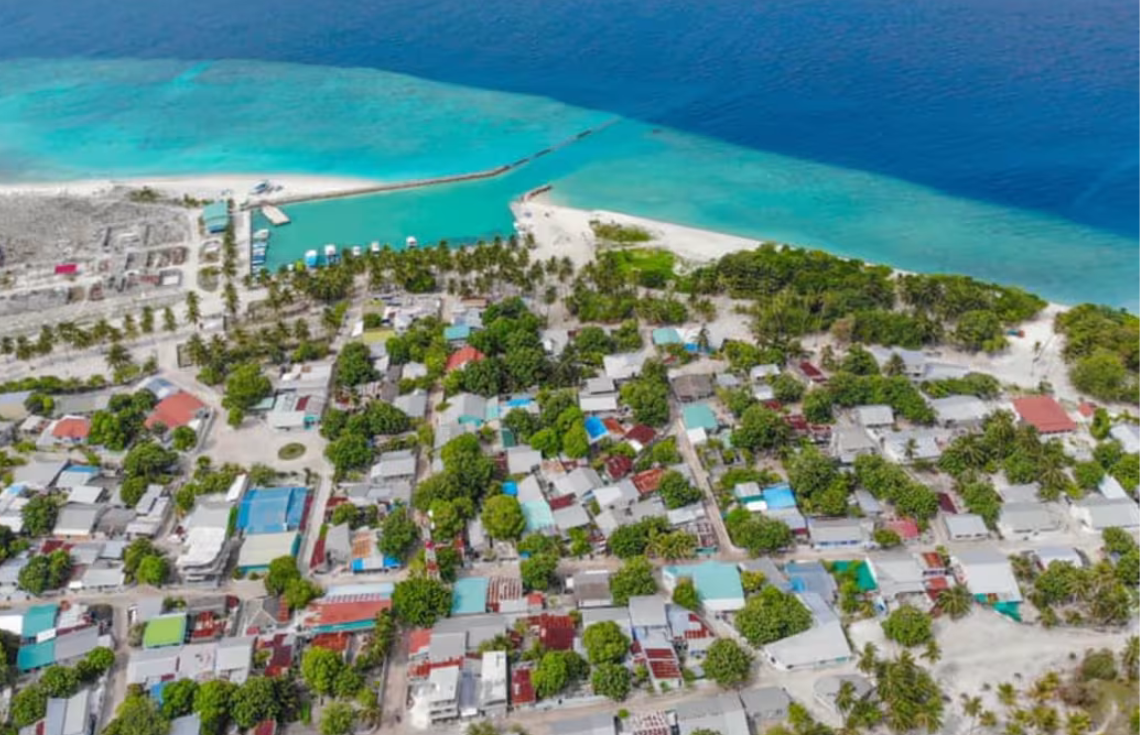 ނިލަންދޫއިން ގެއްލިގެން ހޯދި އަންހެން ކުއްޖާ ފެނިއްޖެ