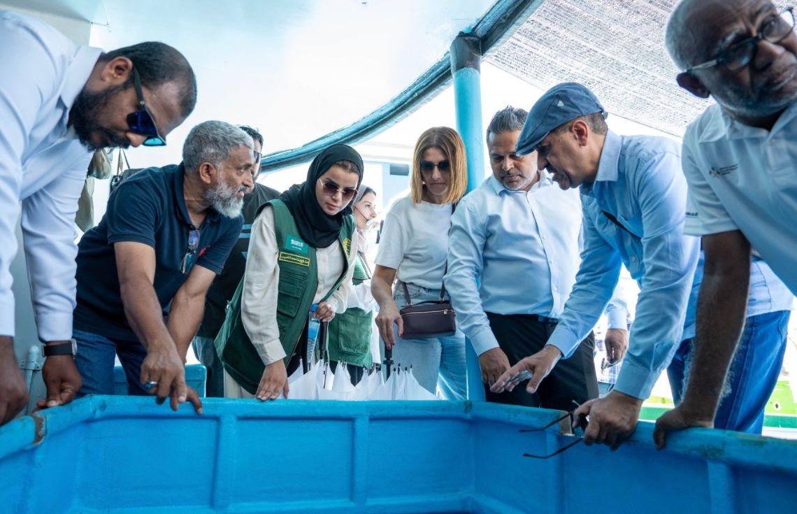 އާރްއެސްޑަބްލިޔު ސިސްޓަމް ޤާއިމްކުރުމަށް 40އަށްވުރެ ގިނަ ދޯންޏަށް ލޯނު ދޫކުރަން ނިންމައިފި