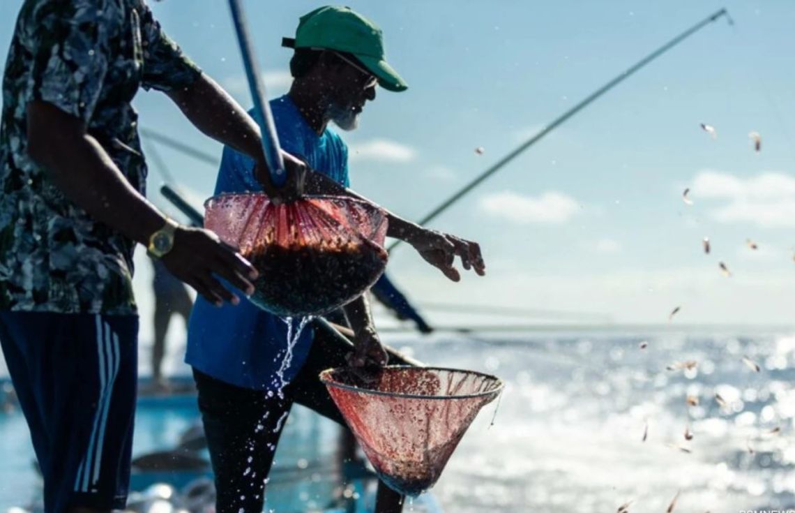 މަސްވެރިކަމަށް ޒުވާނުންގެ ޝައުޤު އިތުރުކުރުމަށް ޚާއްޞަ ތަމްރީނެއް!