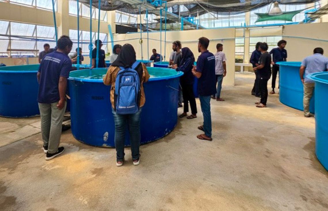 ފާނަ އާލާ ކުރުމުގެ ޕްރޮގްރާމް 15 ބައިވެރީންނާ އެކު ފަށައިފި