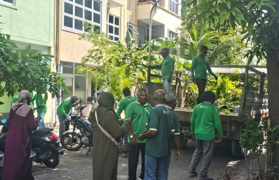 ހެޖުތެރޭން ނަގާ ބިޔަ ގަސްތައް އިންދާނީ ހުޅުމާލޭގެ އެކި ޕާކުތަކުގައި