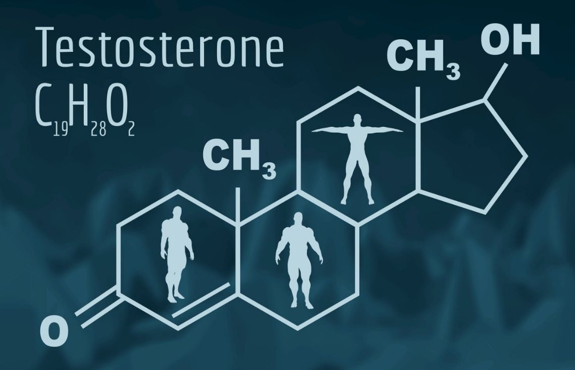 ފިރިހެނުންގެ ހަށިގަނޑުގައި ޓެސްޓޮސްޓެރޯން ހޯމޯންގެ މުހިންމުކަން