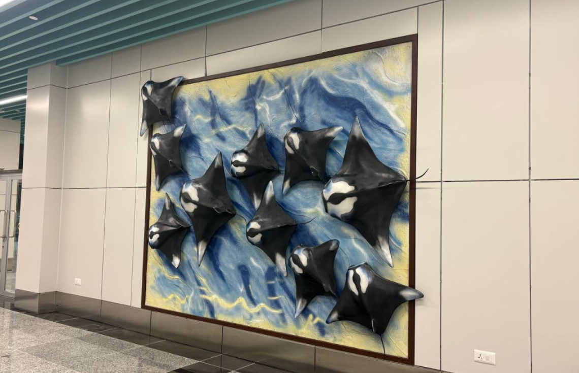 މާދަމާއަކީ އުތުރުގެ ފަތުރުވެރިކަމަށް ބޮޑު ދުވަހެއް!