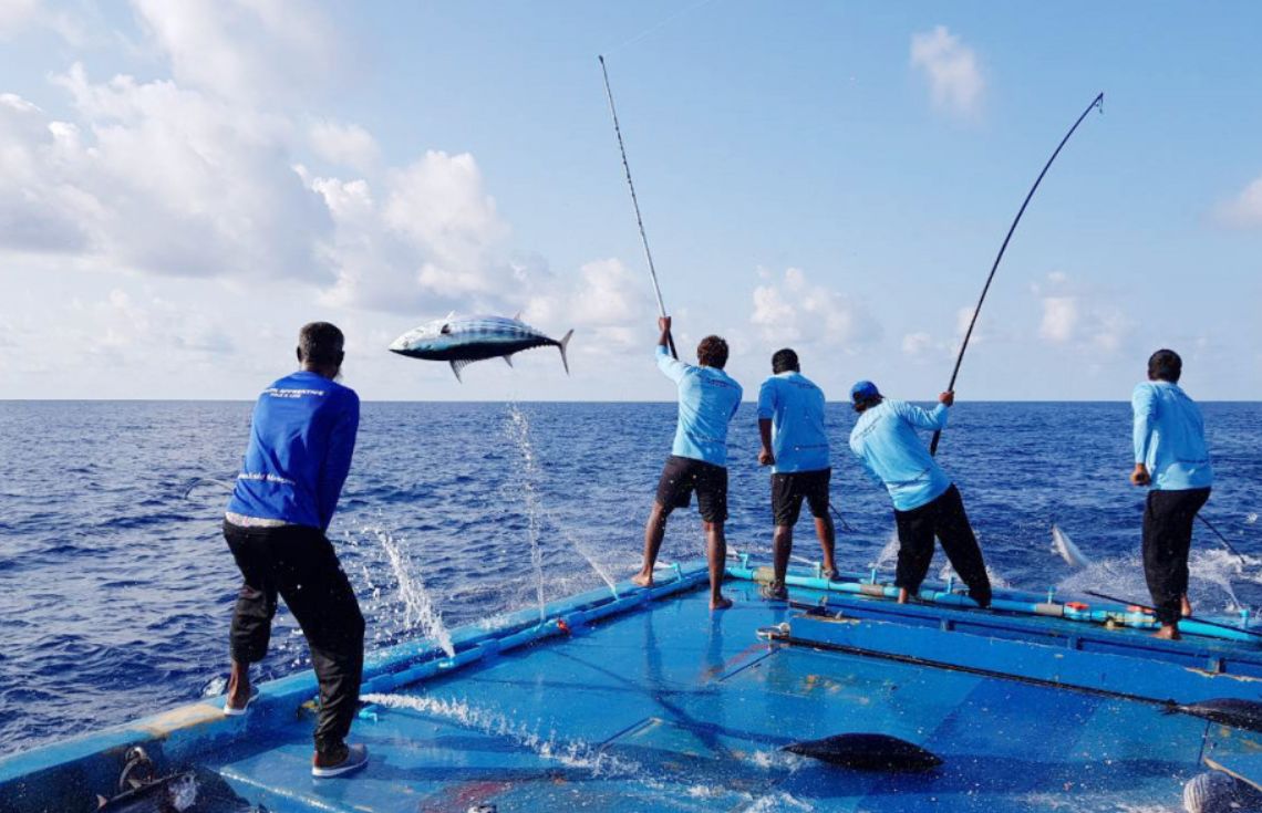 ކުރިން ފައިސާ ނުލިބުމުގެ ސަބަބުން މަސްދޯނިތަކުން ފޭބި އެތައް ޒުވާނުންނެއް މިހާރު އަނބުރާ ދޯނިތަކަށް!