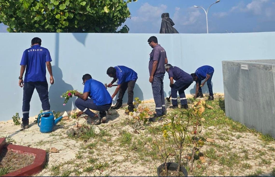 ސްޓެލްކޯގެ ޚިދުމަތްދޭ ހުރިހާ ރަށެއްގައި މިއަދު ގަސް އިންދުމުގެ ޙަރަކާތްތައް ކުރިއަށްގެންދަނީ
