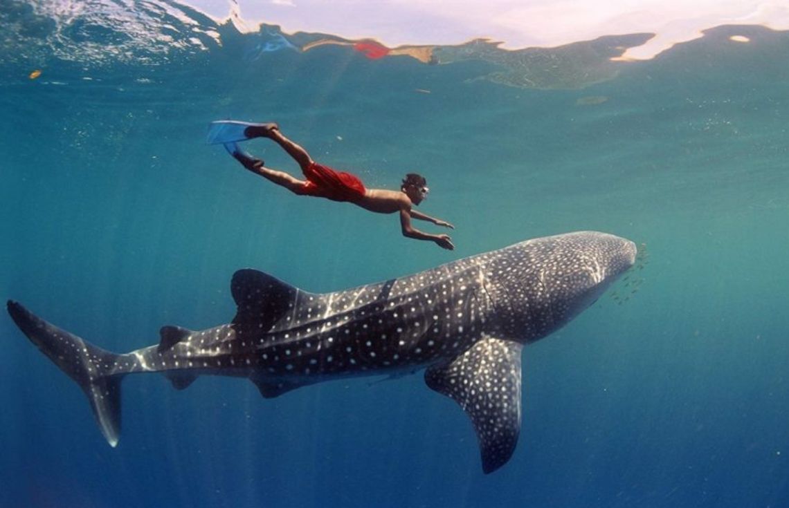 ސަންޕާ ސަރަޙައްދު ރައްކާތެރިކުރުމަށް 440 ގައިޑުންނަށް ސެޓްފިކެޓް ދޫކޮށްފި