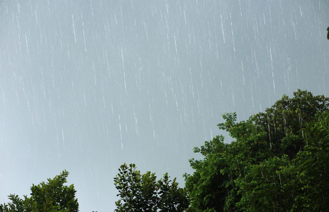 ފާއިތުވި 24 ގަޑިއިރު އެންމެ ގިނައިން ވާރޭވެހުނީ ދަރަވަންދޫއަށް!