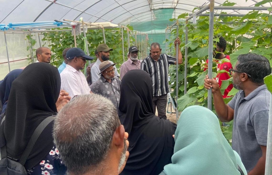 އިސް ދަނޑުވެރިންގެ ތަމްރީނުގެ ދެވަނަ ބުރު ހަނިމާދޫ އެގްރިކަލްޗަރ ސެންޓަރުގައި ފަށައިފި