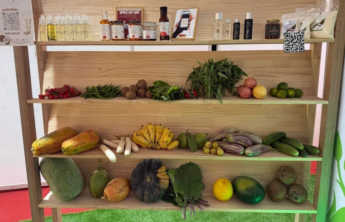 އެމްގެޕް ސްޓޭންޑަރޑަށް ދަނޑުވެރިން އަހުލުވެރި ކުރުވުމަށް ވޯކްޝޮޕެއް ބާއްވަނީ