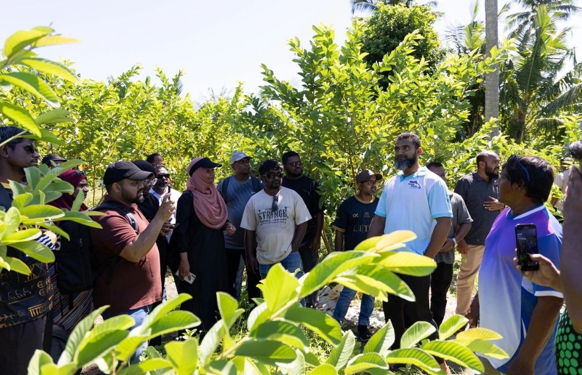 އެމްގެޕް ވޯކްޝޮޕްގައި ބައިވެރިވި 55 ދަނޑުވެރިން ޢަމަލީ ތަމްރީނަށް އއ. ތޮއްޑޫއަށް