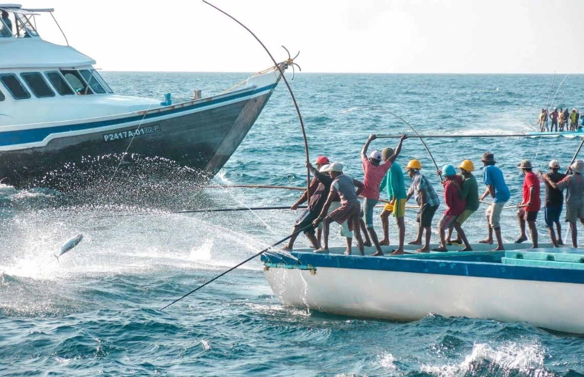 އެންމެ ފަހުގެ ޓެކްނޮލޮޖީ ހިމެނޭ މަސްވެރި އުޅަނދެއްގެ ޑިޒައިން ކުރުމަށް ހުޅުވާލައިފި