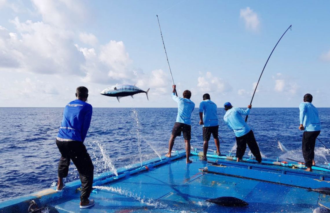 މަސްވެރިކަމުގެ ސިނާއަތުގައި ހަރަކާތްތެރިވާ ކުދި އަދި މެދު ފަންތީގެ ވިޔަފާރިތަކަށް  "މަހަ މަންފާ"  ފައިނޭންސިންގ ސްކީމް  ތައާރަފްކޮށްފި