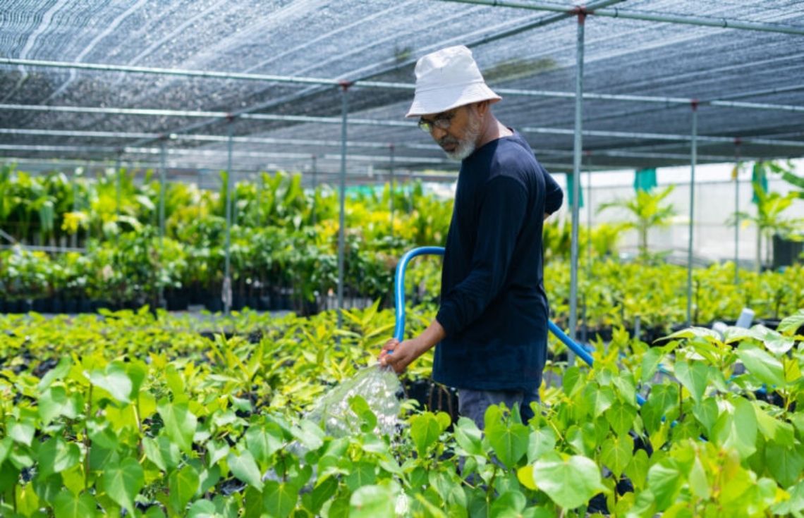 ދަނޑުވެރިކަމުގައި ބޭނުންކުރާ ޕެސްޓިސައިޑު ހުއްދަ ނެތި ބޭނުންކުރުމަކީ މަނާކަމެއް: ވުޒާރާ