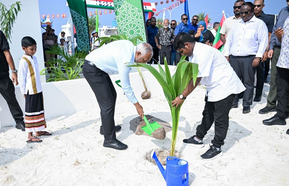 5 މިލިއަން ގަސް ޕްރޮގްރާމް: ރައީސުލްޖުމްހޫރިއްޔާގެ ދެކަނބަލުން ދުވާފަރުގައި ގަސް އިންދަވައިފި