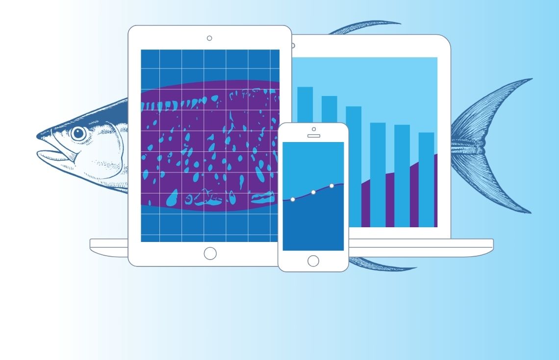 އައިސް ލިބޭ މިންވަރު ކެޔޮޅު އެޕުން އޮންލައިންކޮށް ބެލޭނެ އިންތިޒާމް ހަމަޖައްސައިފި