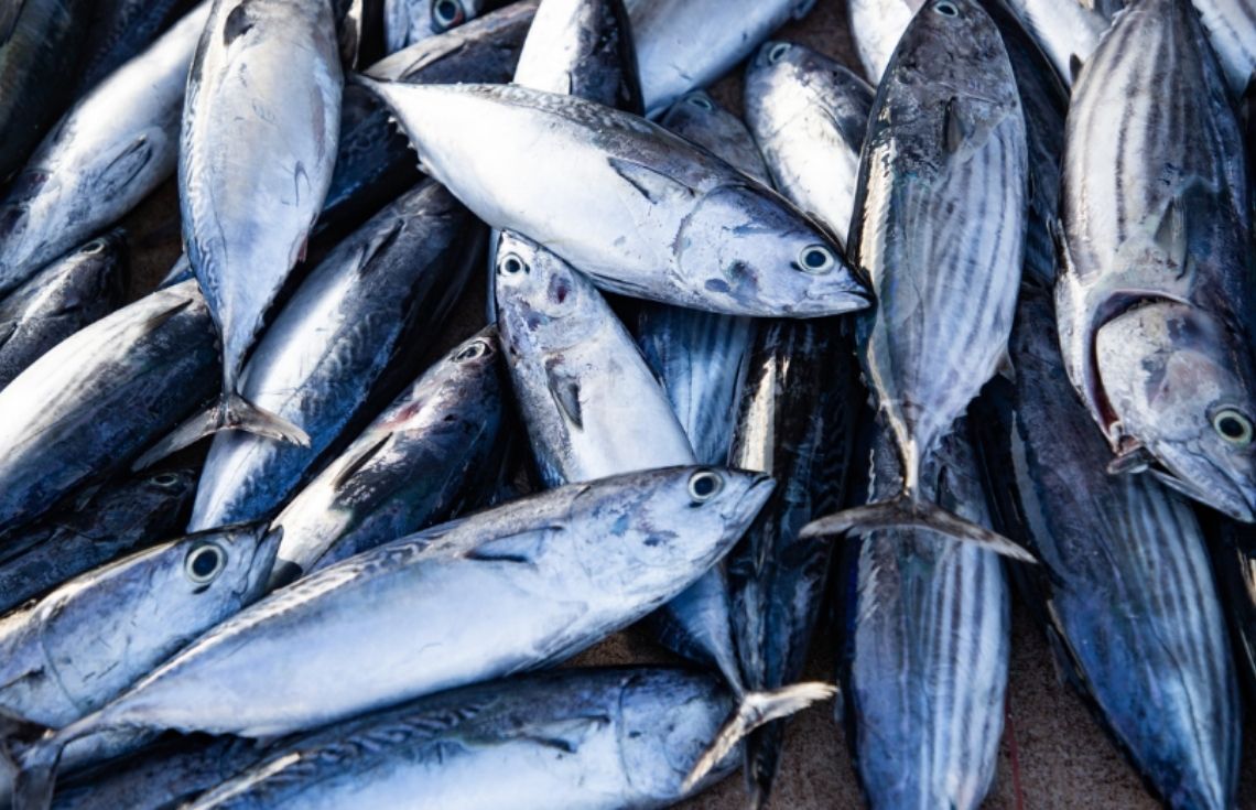 ފަހުގެ ތާރީޚެއްގައި މަސްވެރިންނަށް އެންމެ ގިނައިން ފައިސާ ދޫކޮށްފައި ވަނީ މިމަހުގެ 13 ވަނަ ދުވަހު