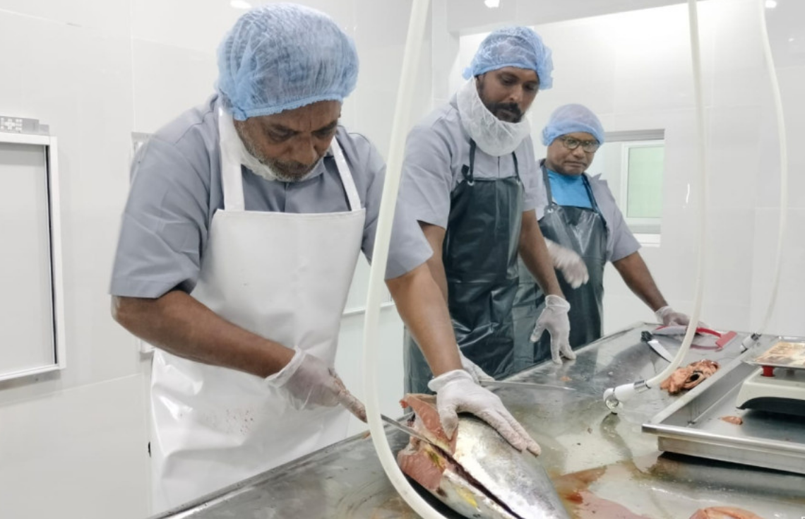 ކުރިއަށް އޮތް ހަފްތާއެއްހާ ދުވަހުގެ ތެރޭގައި ފުވައްމުލަކުގައި މަސް ޕްރޮސެސްކުރަން ފަށަނީ