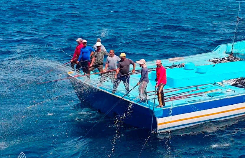 މިފްކޯއަށް މަސް ގަންނަ އަގު ބޮޑުކޮށް މަސްވެރިންނަށް ތެޔޮ ވިއްކާ އަގު ހެޔޮކޮށްފި