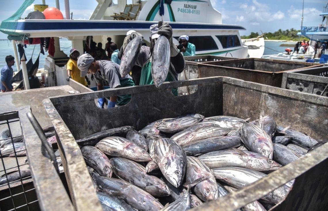 ފުވައްމުލައް ސިޓީގައި ޤާއިމްކުރި މަސް ޕްރޮސެސިންގ ފެސިލިޓީ ހުޅުވައިފި