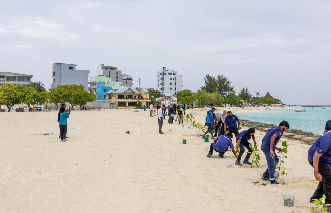 ކ. ގުޅީގެ އަލަށް ހިއްކި ސަރަޙައްދު ފެހިކުރުމަށް 2000 ގަސް އިންދުމުގެ ޙަރަކާތެއް ފަށައިފި