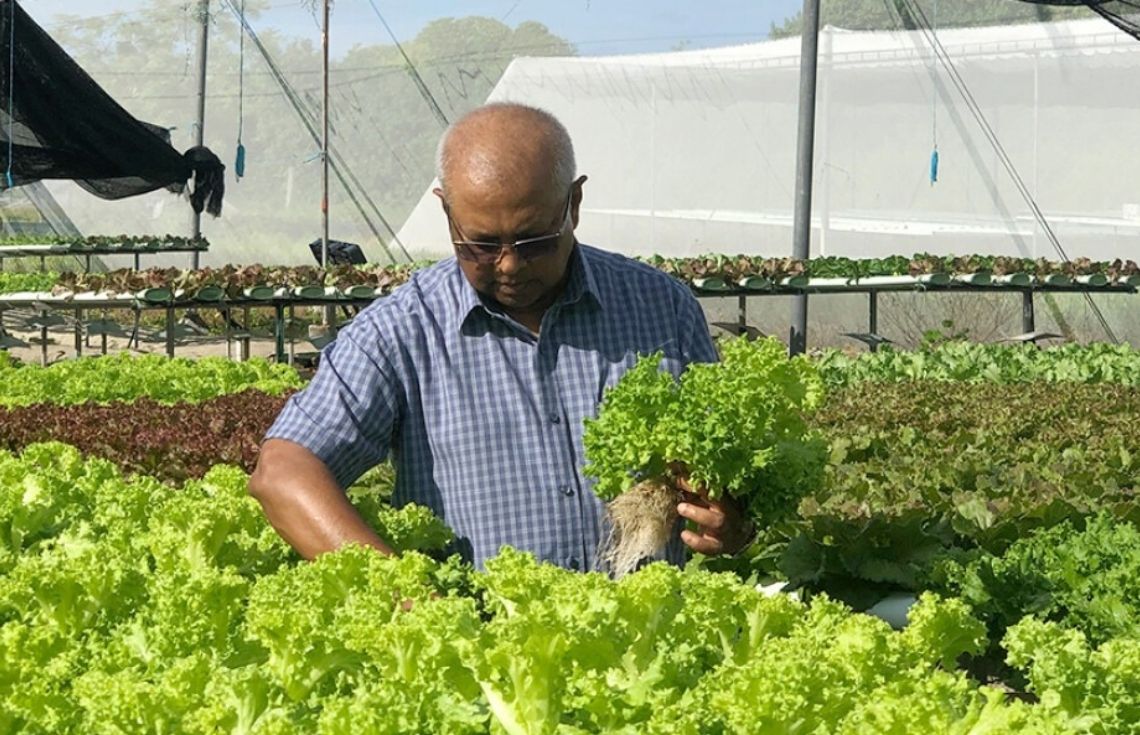 ރޯދައިގެ ކުރިން 'ދަނޑުވެރިޔާ' އެޕް ބޭނުންކުރަން ފެށުމަށް ތައްޔާރުވަނީ