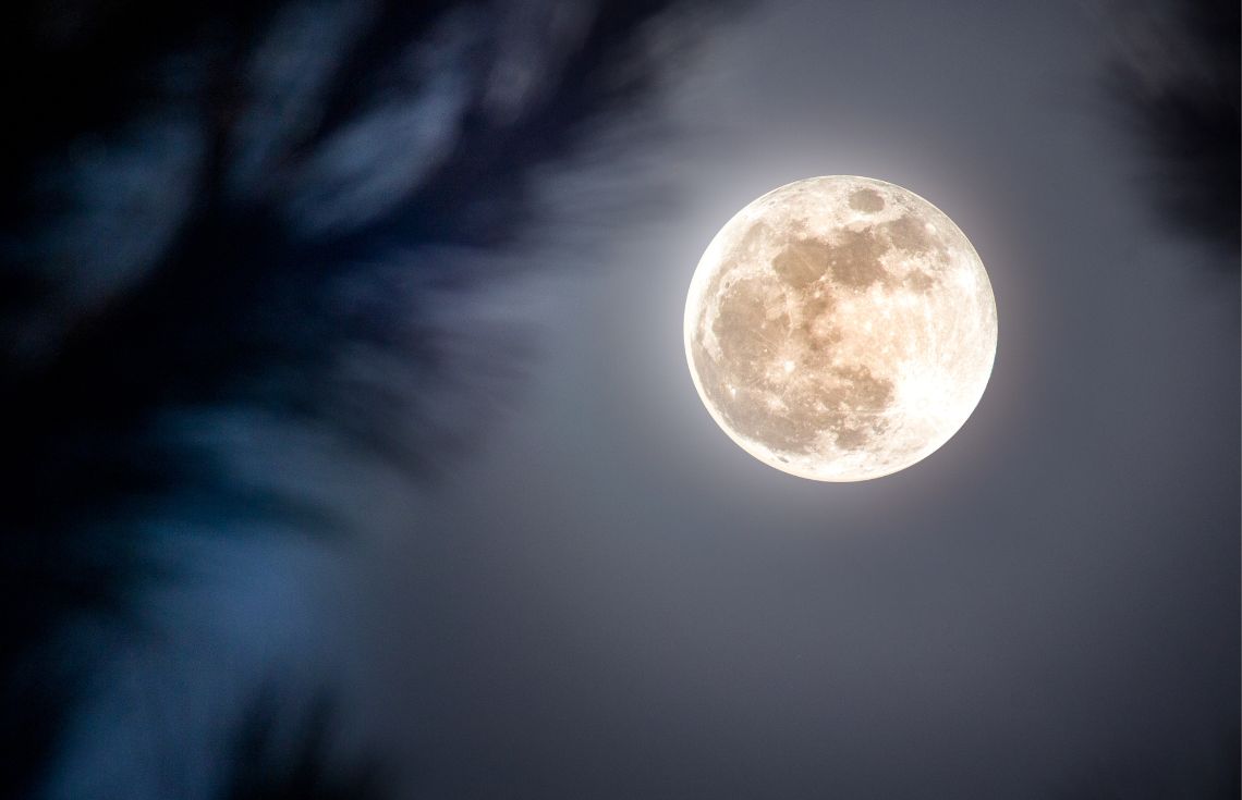 ހަނދުގެ ވަގުތު ބަލާނެ ދުނިޔޭގެ ފުރަތަމަ ސޮފްޓްވެއާ ޗައިނާއިން އުފައްދައިފި