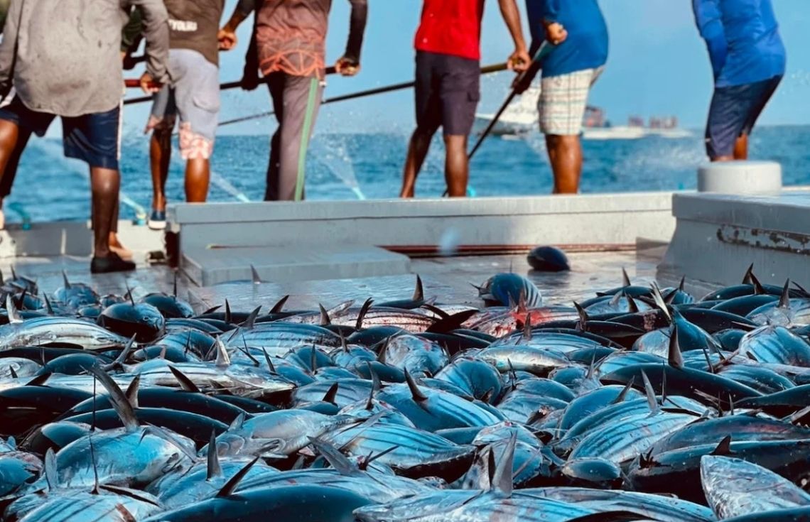 އިއްޔެ މަސްވެރިންނަށް 9 ލައްކައަށްވުރެ ގިނަ ރުފިޔާ ޖަމާކޮށްދީފި