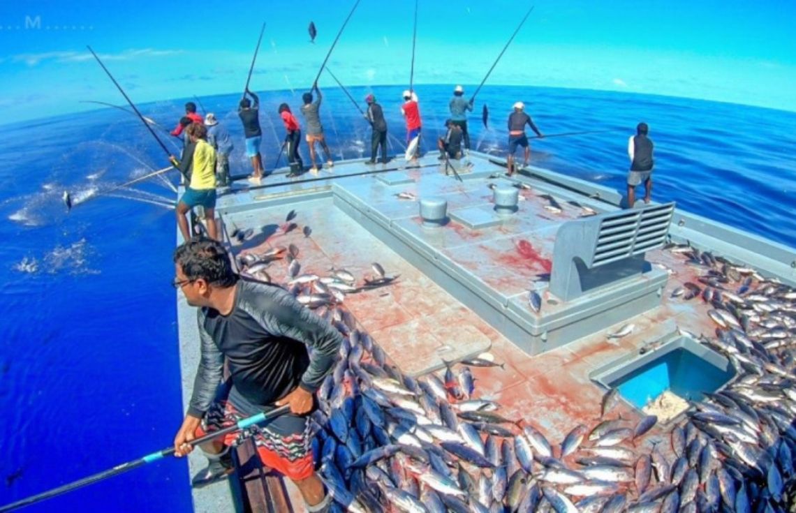 މިއަހަރުގެ ފުރަތަމަ 12 ދުވަހާއި ހަމައަށް 13.8 މިލިޔަން ރުފިޔާ މަސްވެރިންނަށް ދޫކޮށްފި