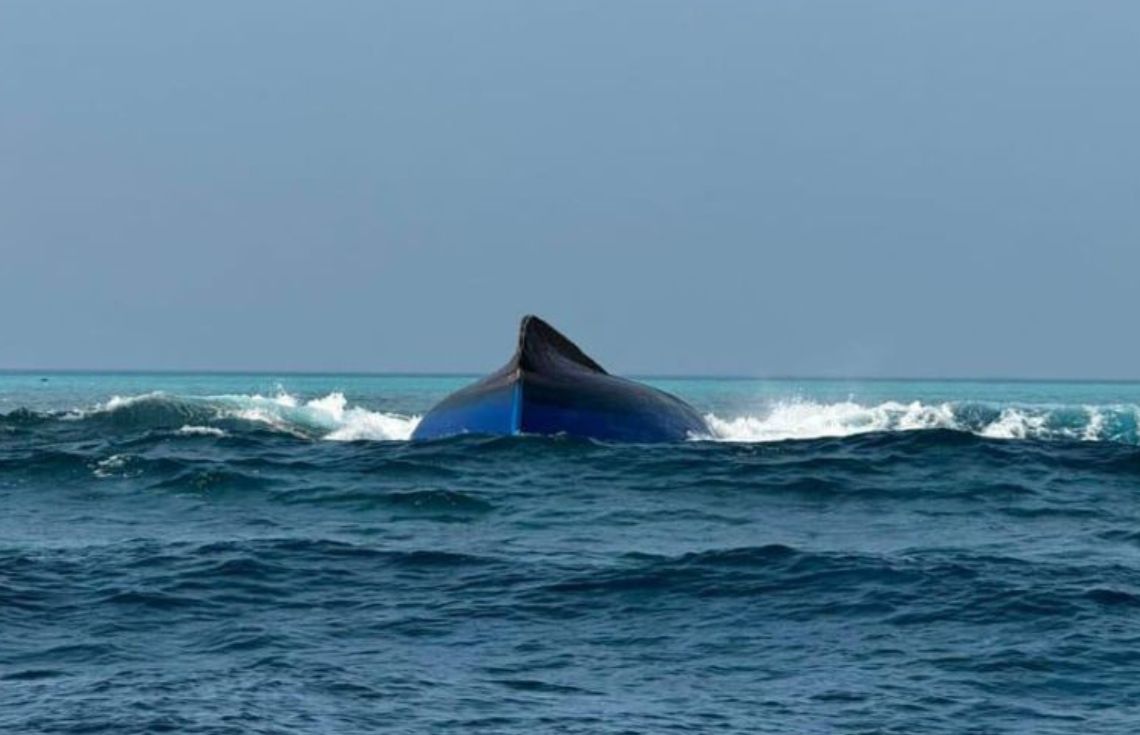 Featured Article Image