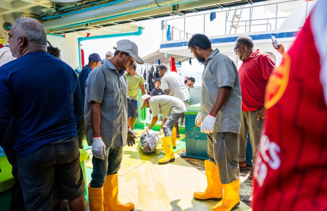 މިފްކޯއިން 10 ކިލޯއިން މަތީގެ ކަންނެލި ގަންނަން ފަށައިފި