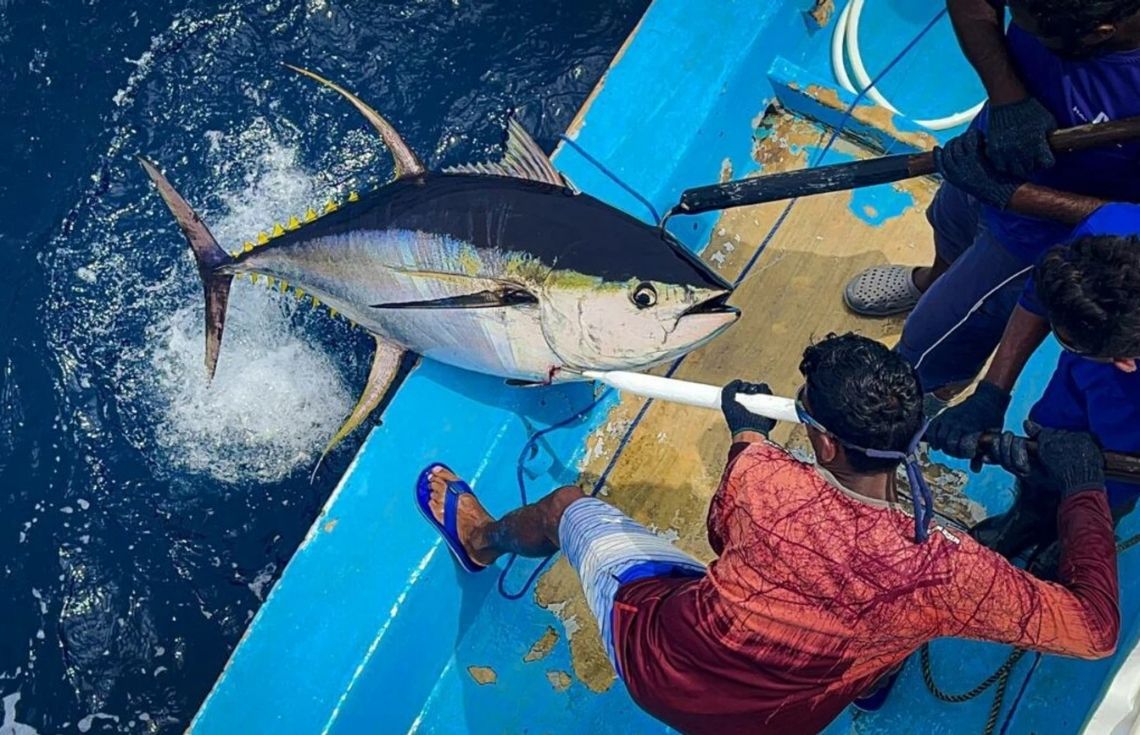 މި މަހުގެ 21 ވަނަ ދުވަހުގެ ނިޔަލަށް މިފްކޯއަށް މަސްކިރުވި ދޯނިތަކަށް 1.7 މިލިއަނަށްވުރެ ގިނަ ރުފިޔާ ދޫކޮށްފި