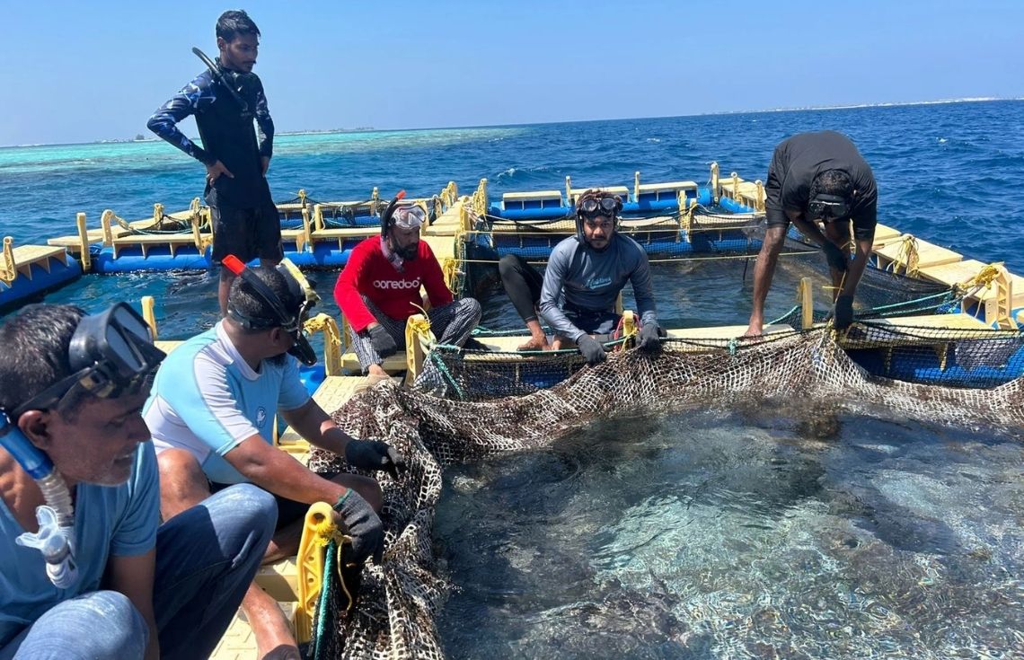 މެރިން ހެޗަރީ ސްކިލްސް ޑިވެލޮޕްމަންޓް ޕްރޮގްރާމްގެ 2 ވަނަ ބުރުގެ ތަމްރީނުތައް ފަށައިފި