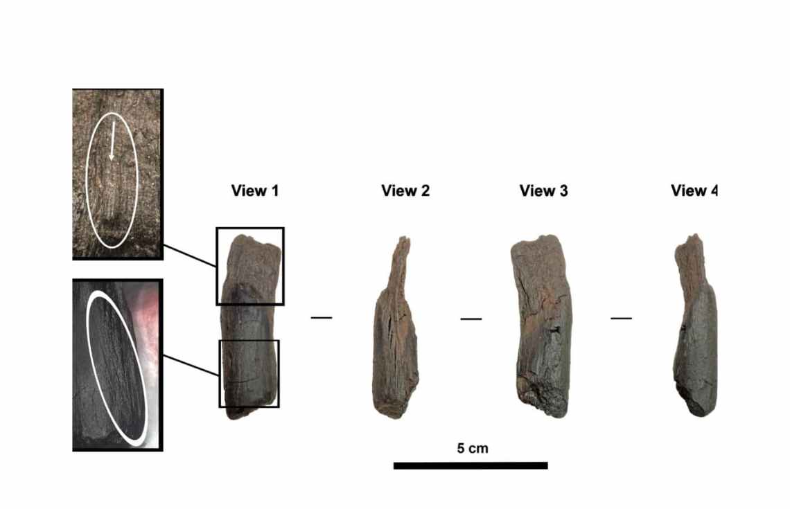 ދުނިޔެއިން މިހާތަނަށް ފެނުނު އެންމެ ދުވަސްވީ ލަކުޑި ހަތިޔާރުތައް ފެނިއްޖެ