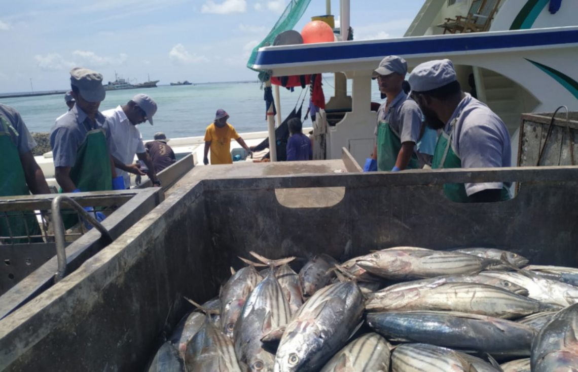 ޖަނަވަރީ މަހު މަސްވެރިން ކިރުވި މަހަށް 40.3 މިލިޔަން ރުފިޔާ ދޫކޮށްފި