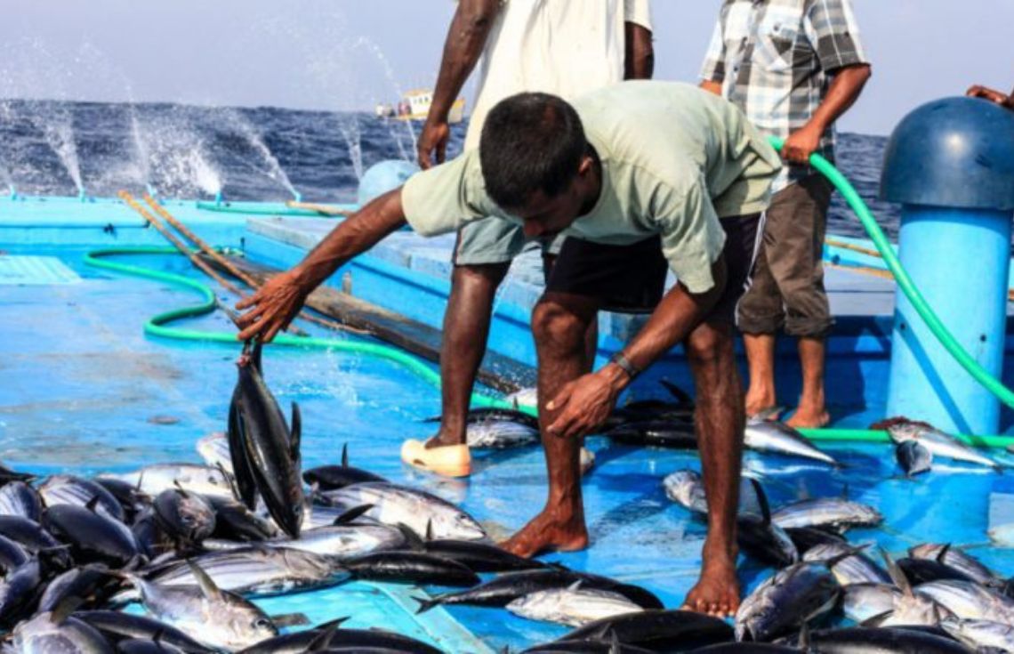 މިމަހުގެ ފުރަތަމަ 13 ދުވަސްތެރޭ މަސްވެރިންނަށް 11.8 މިލިޔަން ރުފިޔާ ދޫކޮށްފި