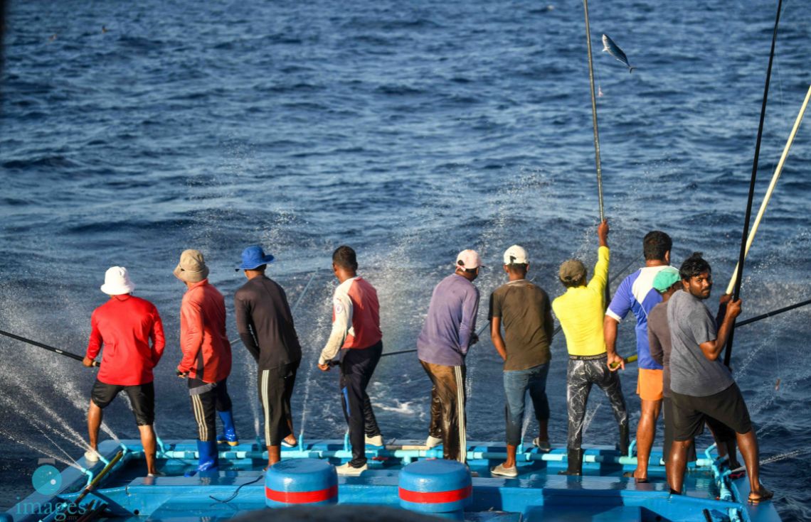 މިދިޔަ ހަފްތާގައި މަސްވެރިންނަށް 4 މިލިޔަނަށްވުރެ ގިނަ ރުފިޔާ ދޫކޮށްފައިވޭ: މިފްކޯ